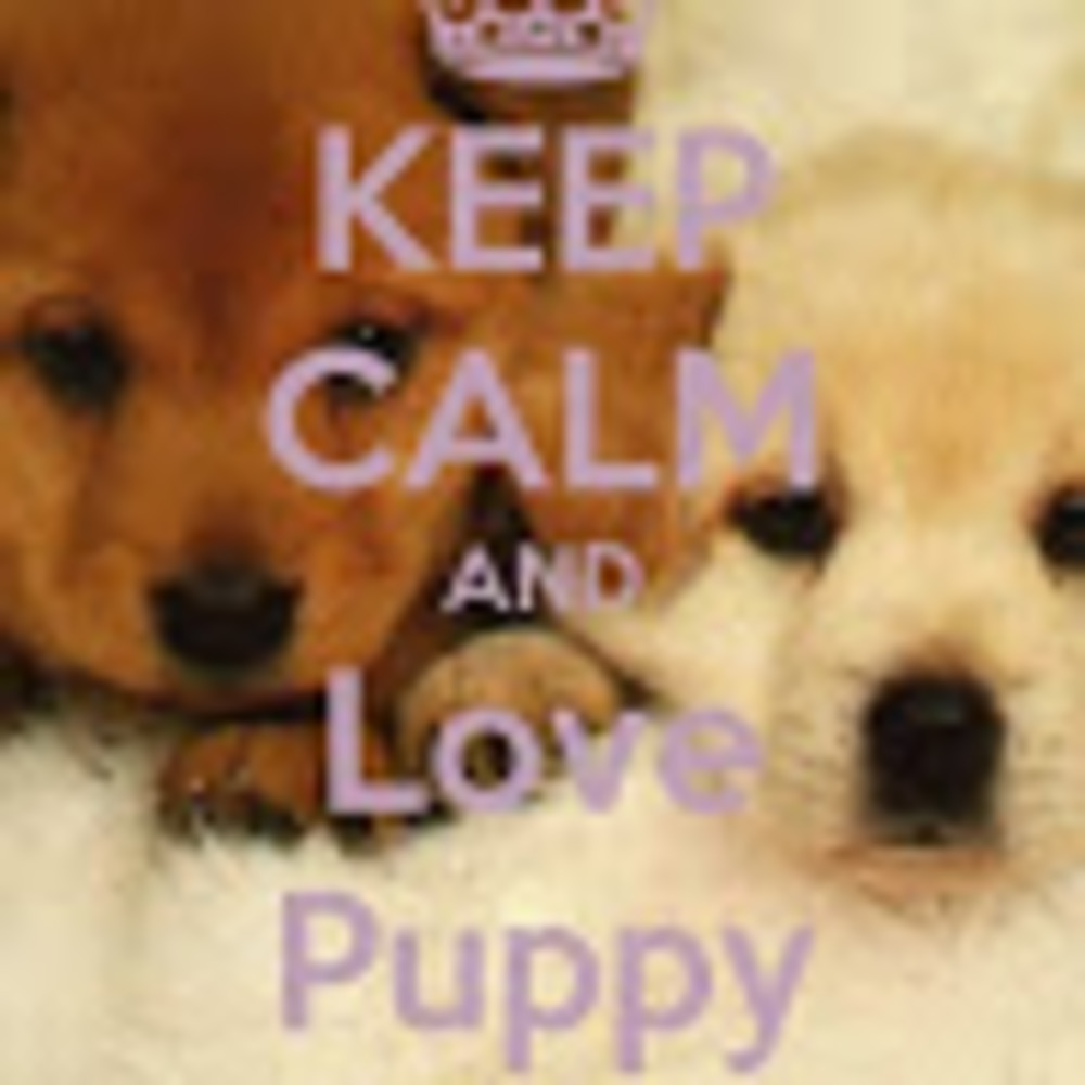 Meet your Posher, Necole